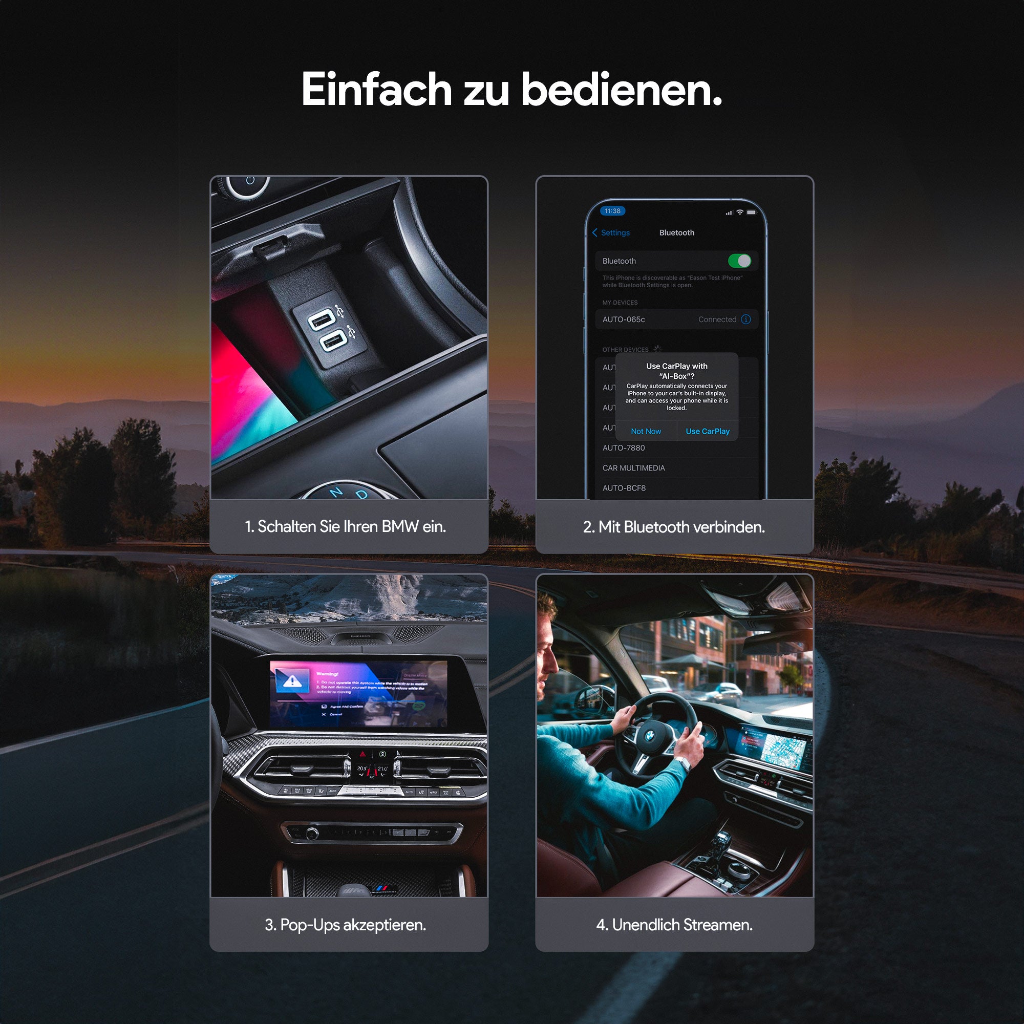 DriveFlix® 2.0 for BMW